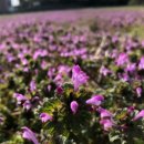 칠전동길3 이미지