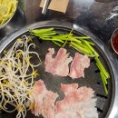 돼지세끼 이미지