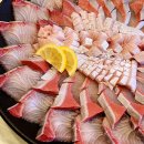 순천 룸식당 153수산 방어회 대게 킹크랩 맛집