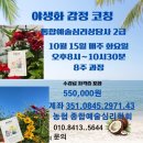 통합예술심리상담사2급 이미지