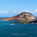 경남비디오 이미지