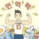 나인원핏 이미지