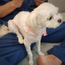 써니메디칼 이미지