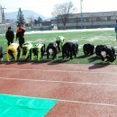 추부중학교 이미지