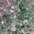 푸른소아청소년과의원 이미지