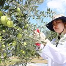 곡성-044 이미지