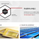 주성엔지니어링(주) Daum카페