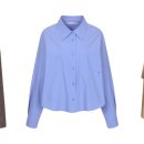 올리브(OLIVE) 이미지