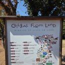 부귀보아염소농장 | [제주 여행] 귀여운 말과 알파카, 동물들이 가득한 길갈 팜 랜드 후기