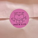 시흥 소품샵 러브담 라방 구매 후기 키티쿠지 키부부 리락쿠마테노리 랜깡