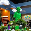 상하다제 이미지