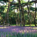 동천동주민센터회의실 이미지