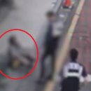 강남초교 이미지