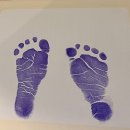 가보자 양주 | 양주 나무정원여성병원 제왕절개 6, 7일차 후기 (이제 조리원 천국으로 가자~~~~😃)