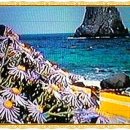 토지공인중개사사무소 이미지