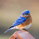 황송공원 (체육시설) 이미지