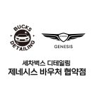 벅스디테일링