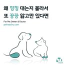 이의종동물병원 네이버블로그