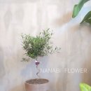 사파동396 이미지