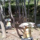 수밀농장 이미지