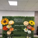초당대학교 | “무안 초당대학교 졸업식 포토존 설치 후기｜자이언트플라워 그린월 포토존”