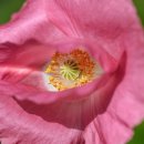 용두골프연습장 이미지