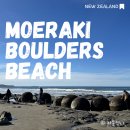 피쉬카페행복바다 유한회사 | [뉴질랜드 나홀로 자유여행] 남섬 더니든 코에코헤해변 모에라키볼더스비치 (Moeraki Boulders Beach)