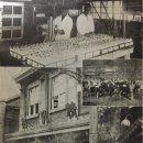 성신목장 이미지