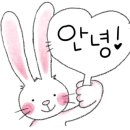 부룡체육관 이미지