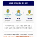 닥터포커스신월성 | 너울 트리드 리커버리 부스터샷 리뷰 #회복 #커큐민 #아르기닌 #리포좀