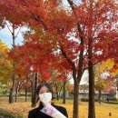 전라도회집 이미지