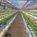 방수농장 이미지