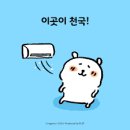 카페아마떼영월점