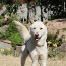 우리들원예사 이미지