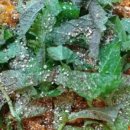 강동-천호-399 이미지