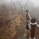 제 10구간 : 연극만세의 백두대간 들어가기 (우두령 ~ 추풍령) 10일째 19회차 2016.4.4(월) 이미지