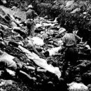 충주 국민보도연맹 및 예비검속사건 진실규명(진실화해를 위한 과거사 정리위원회) 이미지