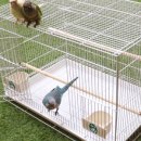 주식회사 리프패럿 이미지