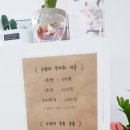개청순한고양이 이미지