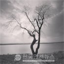 유원무도장 이미지