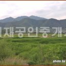 새재공인중개사사무소 이미지