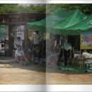 신하초등학교 이미지