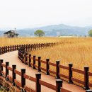 가락생태공원(1) 이미지