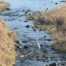 운전면허시험장(특수시험장) | 1종보통 운전면허 적성검사 후기 | 울산면허시험장 면허갱신