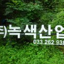 종자리로2 이미지