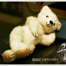 테디베어 이미지