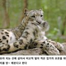 뚜레쥬르 뚝섬유원지점 | 휴일 덕에 한 주 뚝딱!