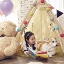 수원랜드 이미지