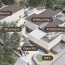 숲을향한시선 이미지