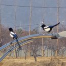 까치공업사 이미지